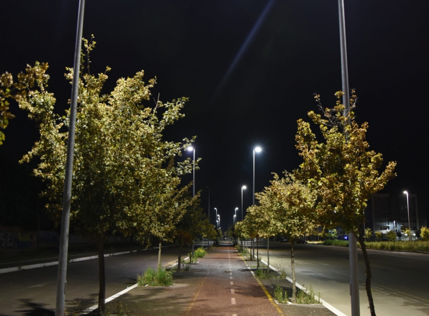 Night Bicycle Path Illuminated By Lamps With Trees