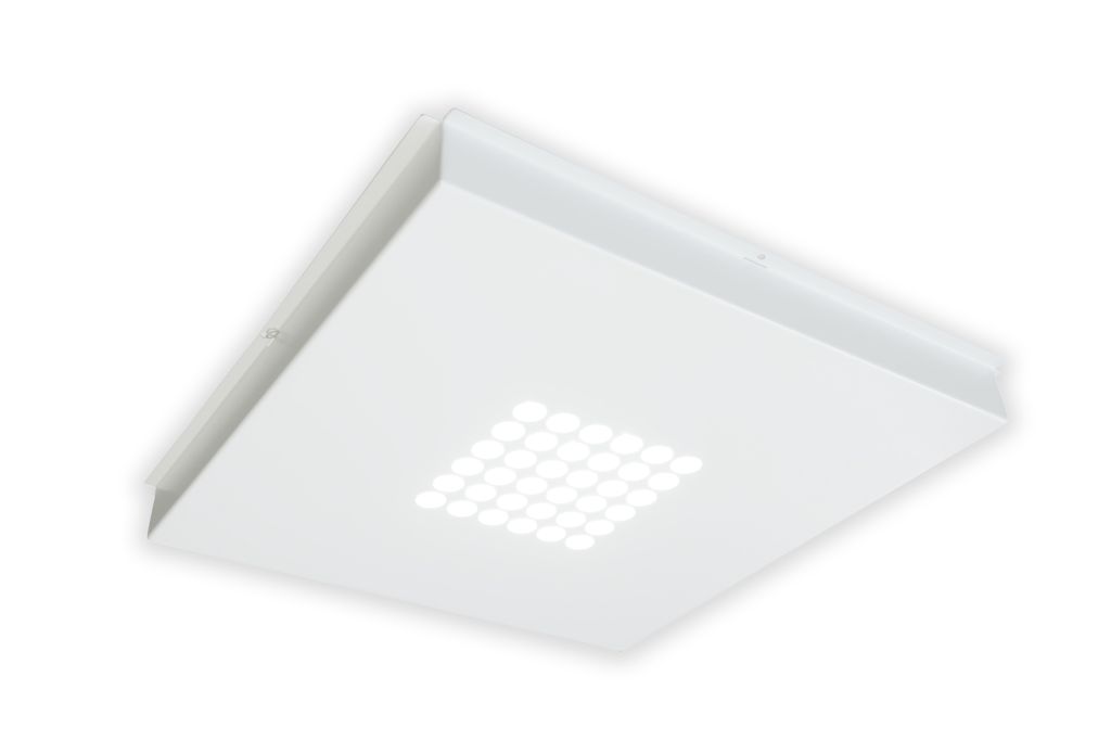 Vanya-80-R2.jpg